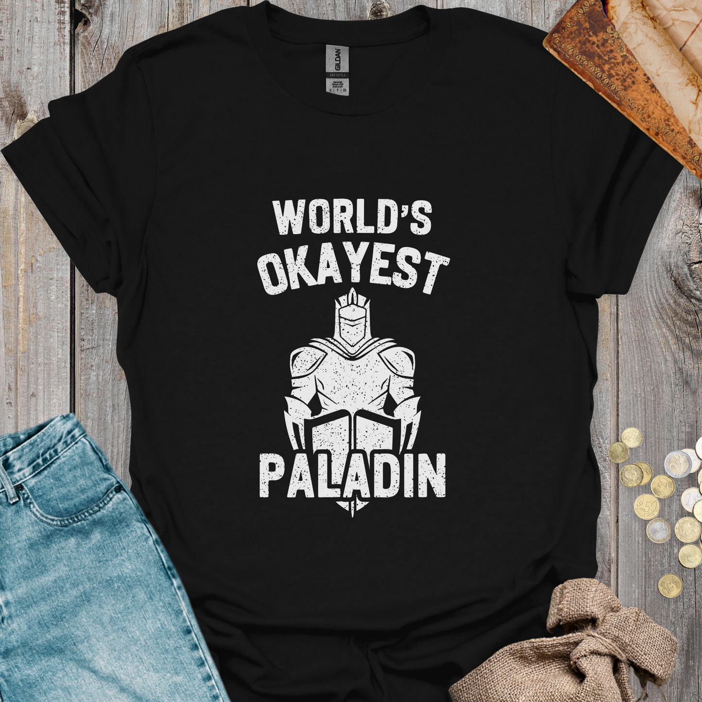 World's Okayest Paladin