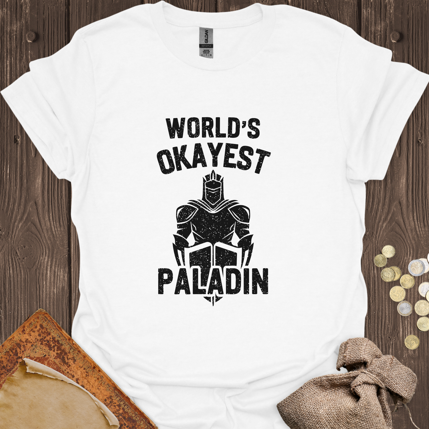 World's Okayest Paladin