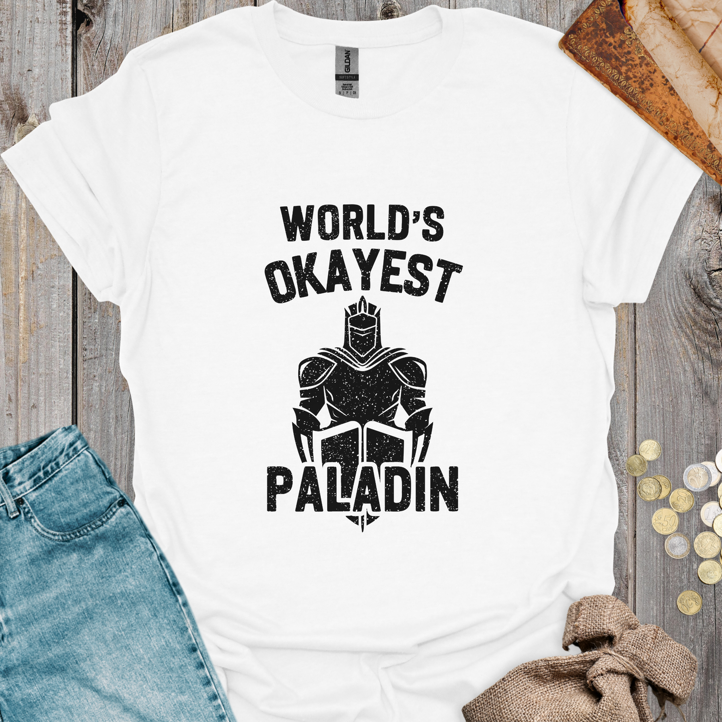 World's Okayest Paladin