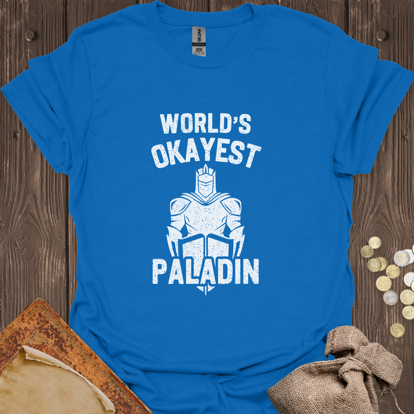 World's Okayest Paladin
