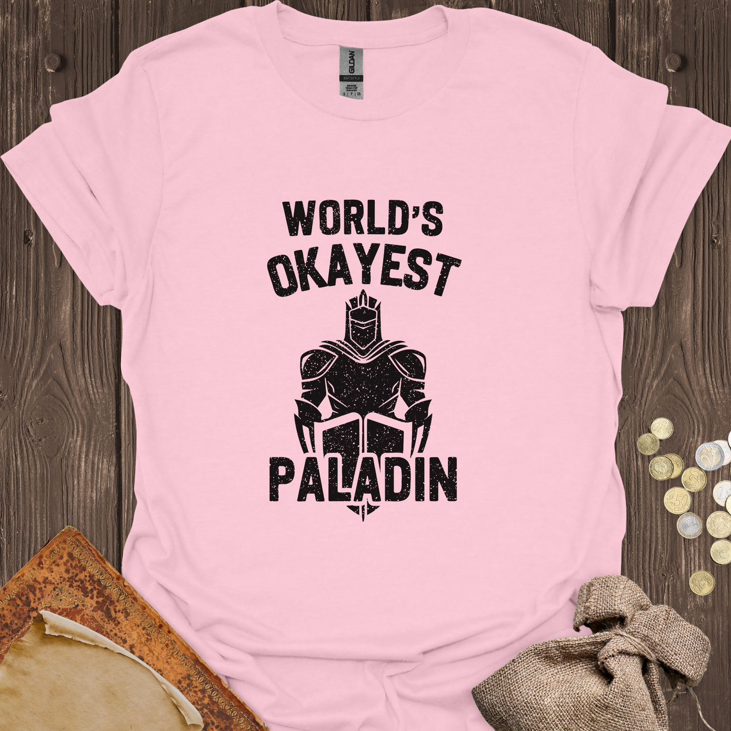 World's Okayest Paladin