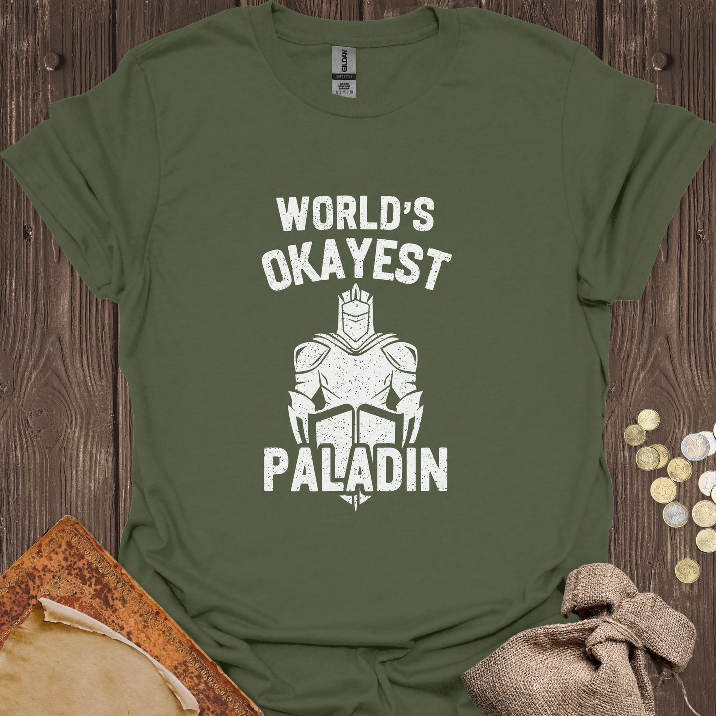 World's Okayest Paladin