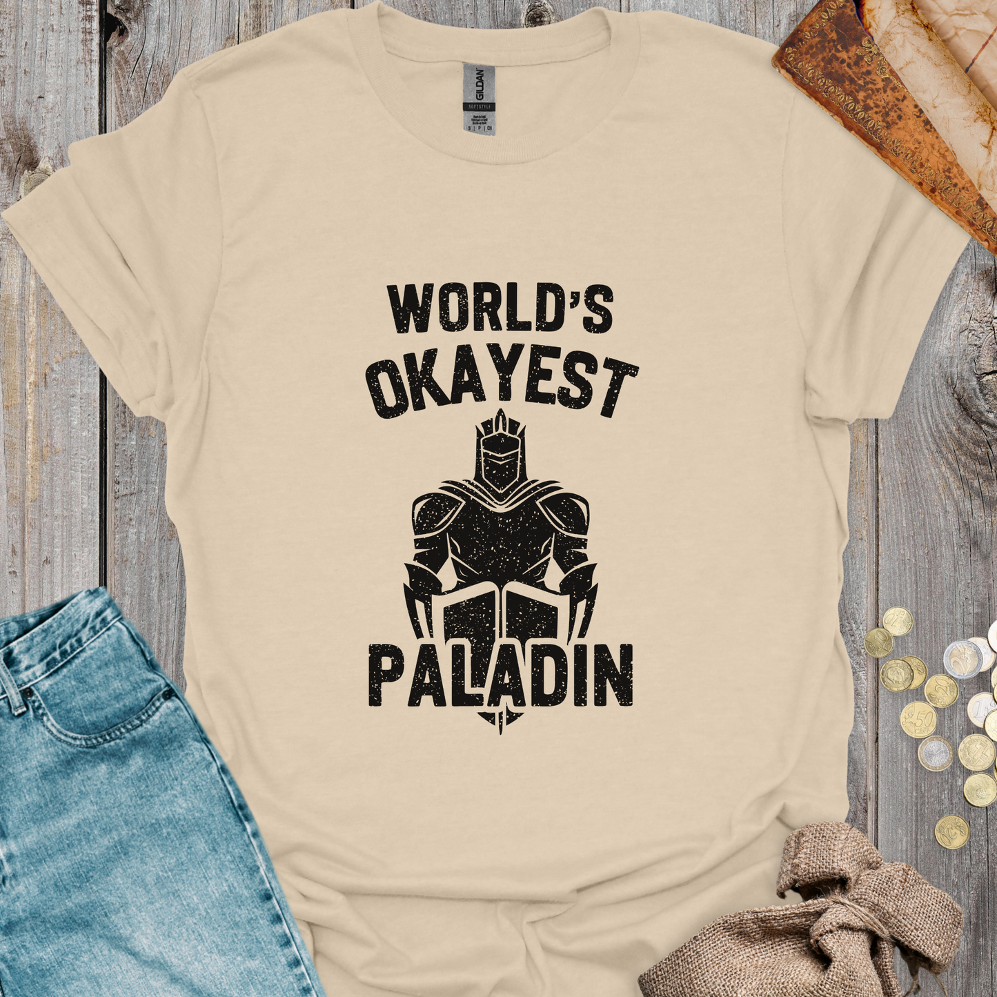 World's Okayest Paladin