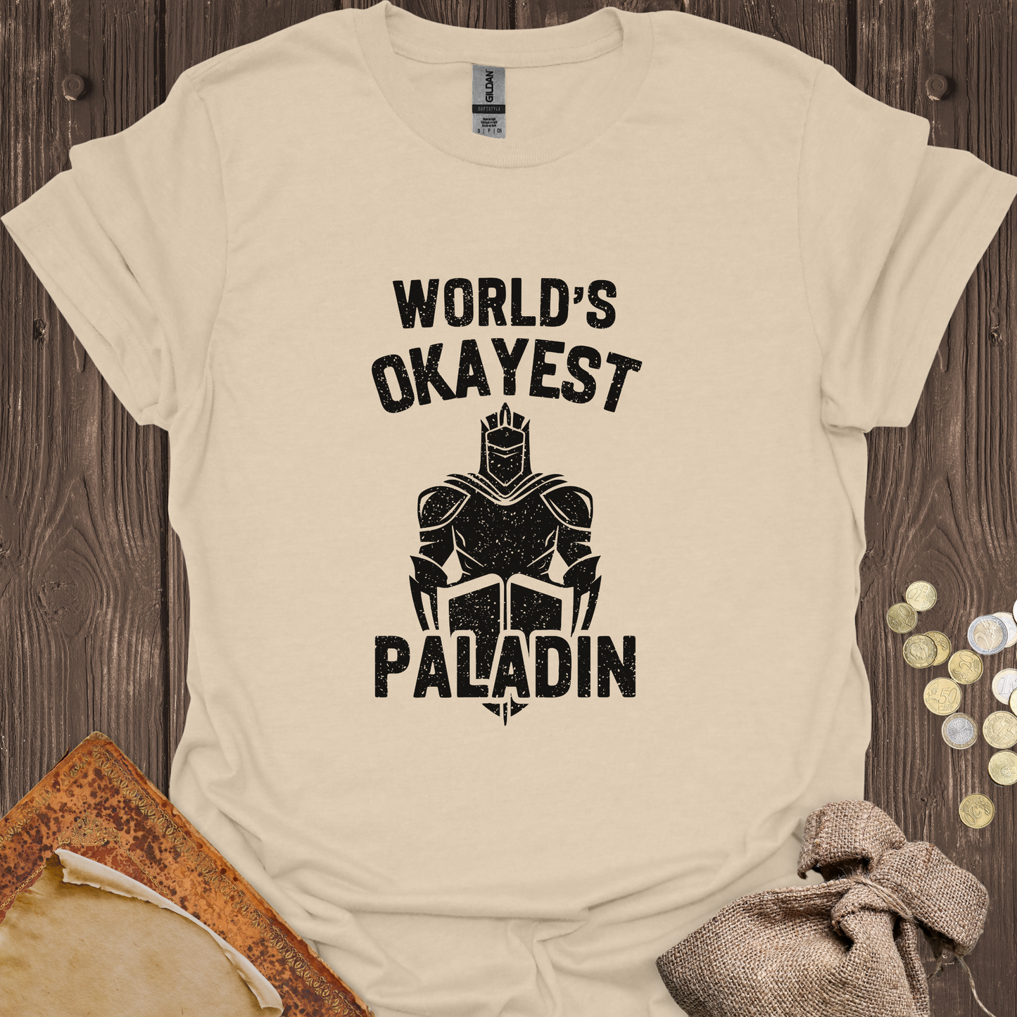 World's Okayest Paladin