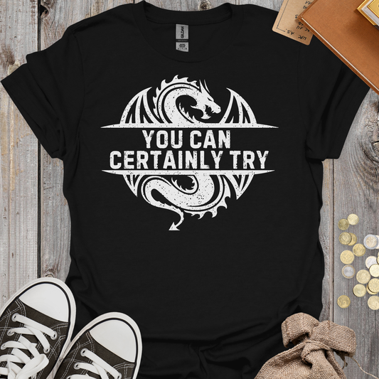 You Can Certainly Try