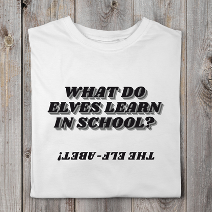 What Do Elves Learn In School?